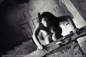 H2O11NEWEST (14).JPG